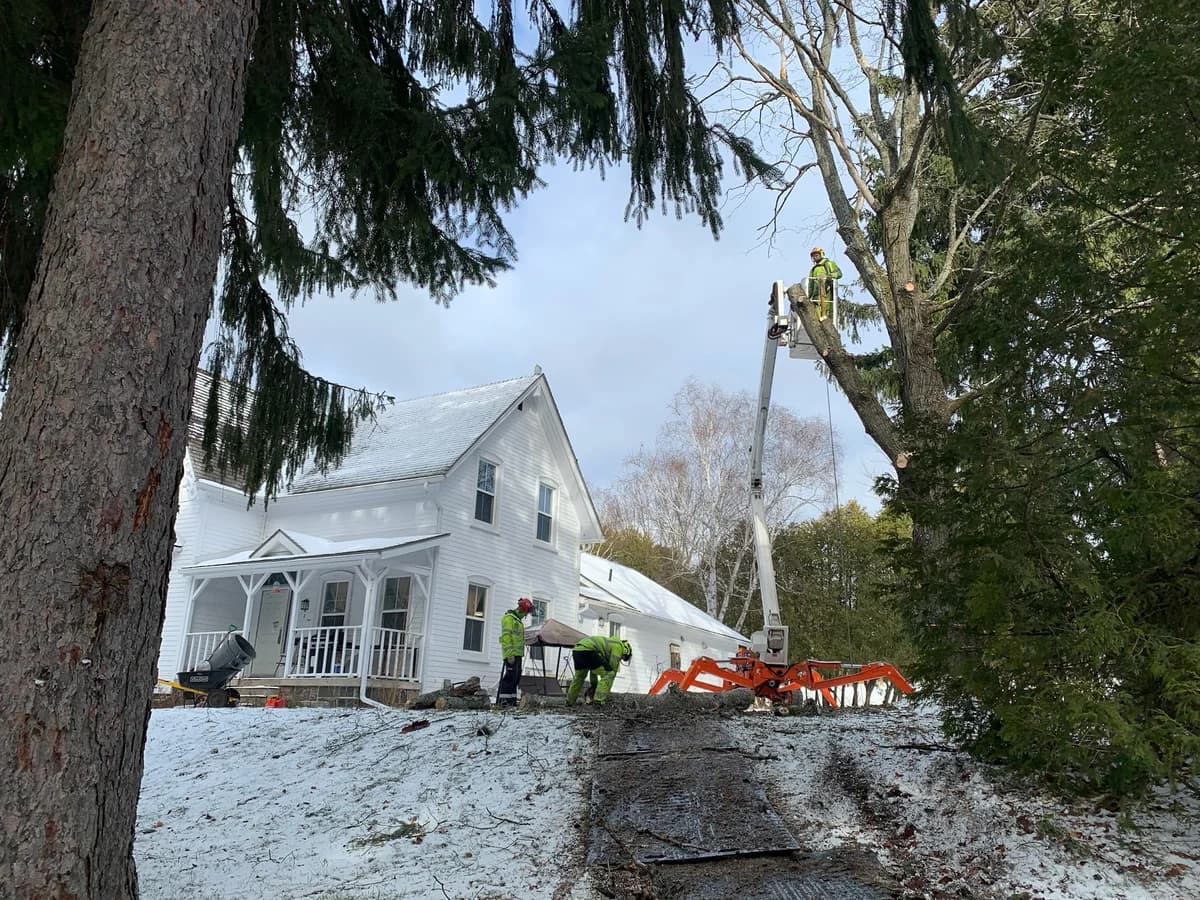 Axe & Wedge bucket truck removing a tree overhanging a residential roofline in Simcoe County