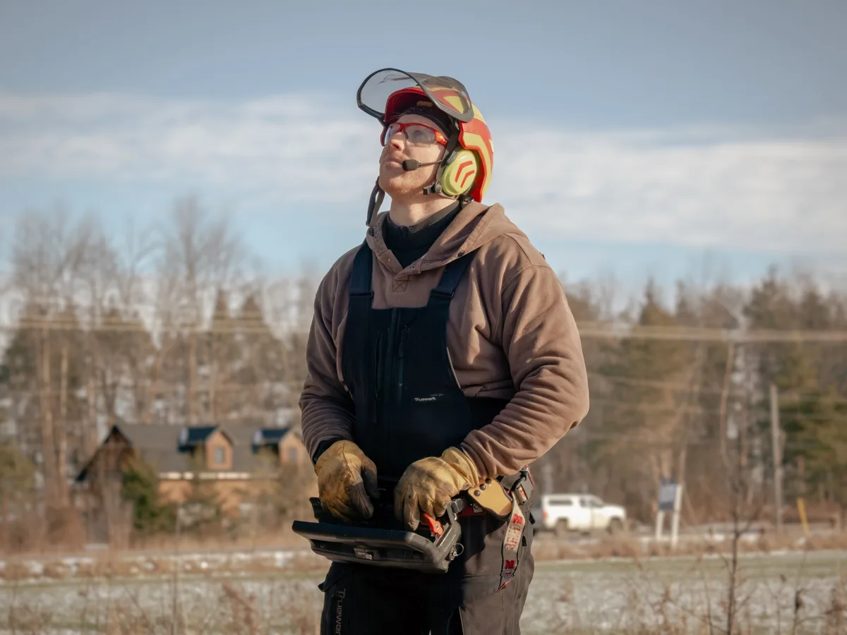Certified arborist in safety gear inspecting a mature tree in Simcoe County Ontario