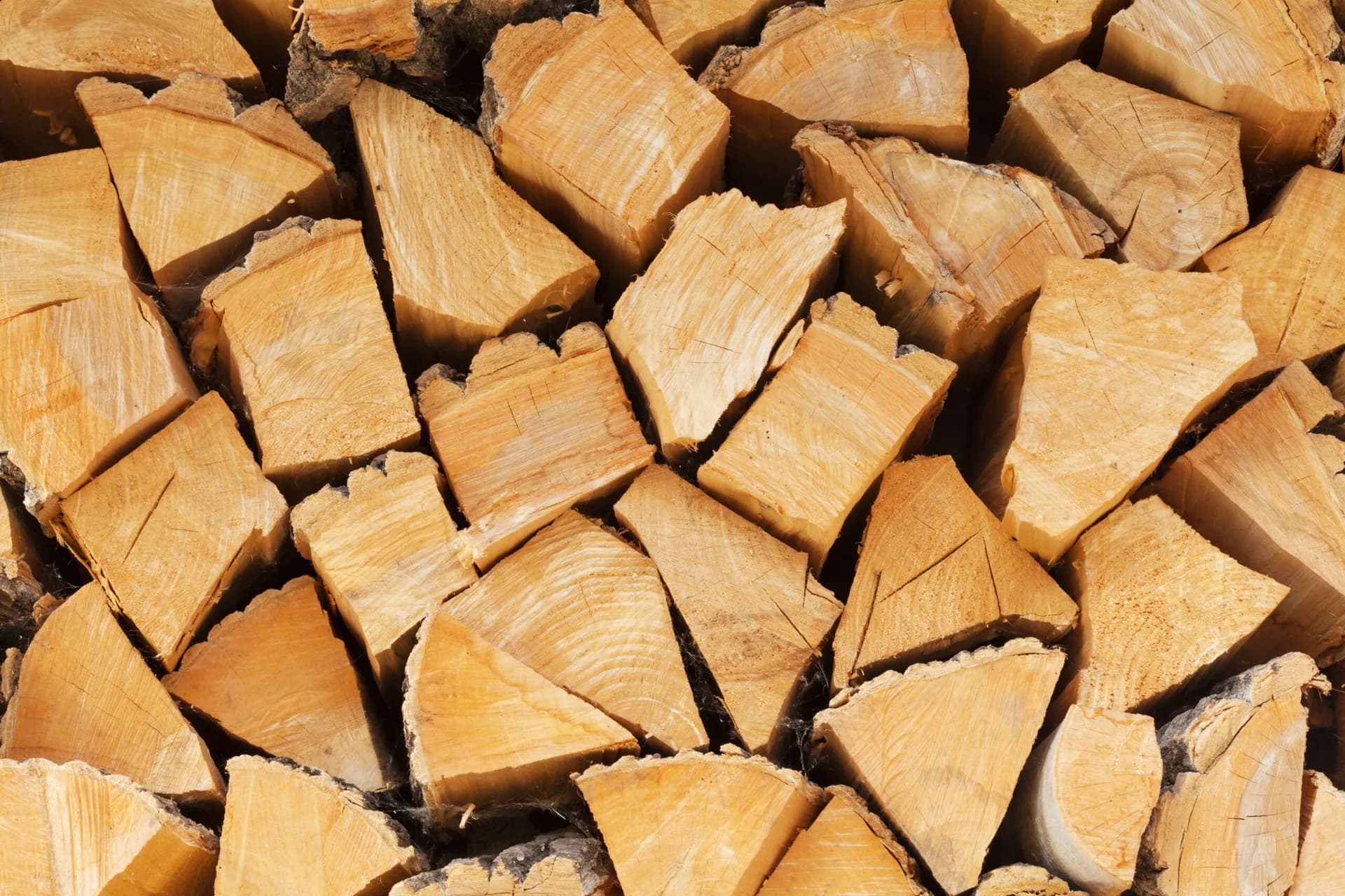 Firewood Delivery in Simcoe County — Axe & Wedge Tree Works