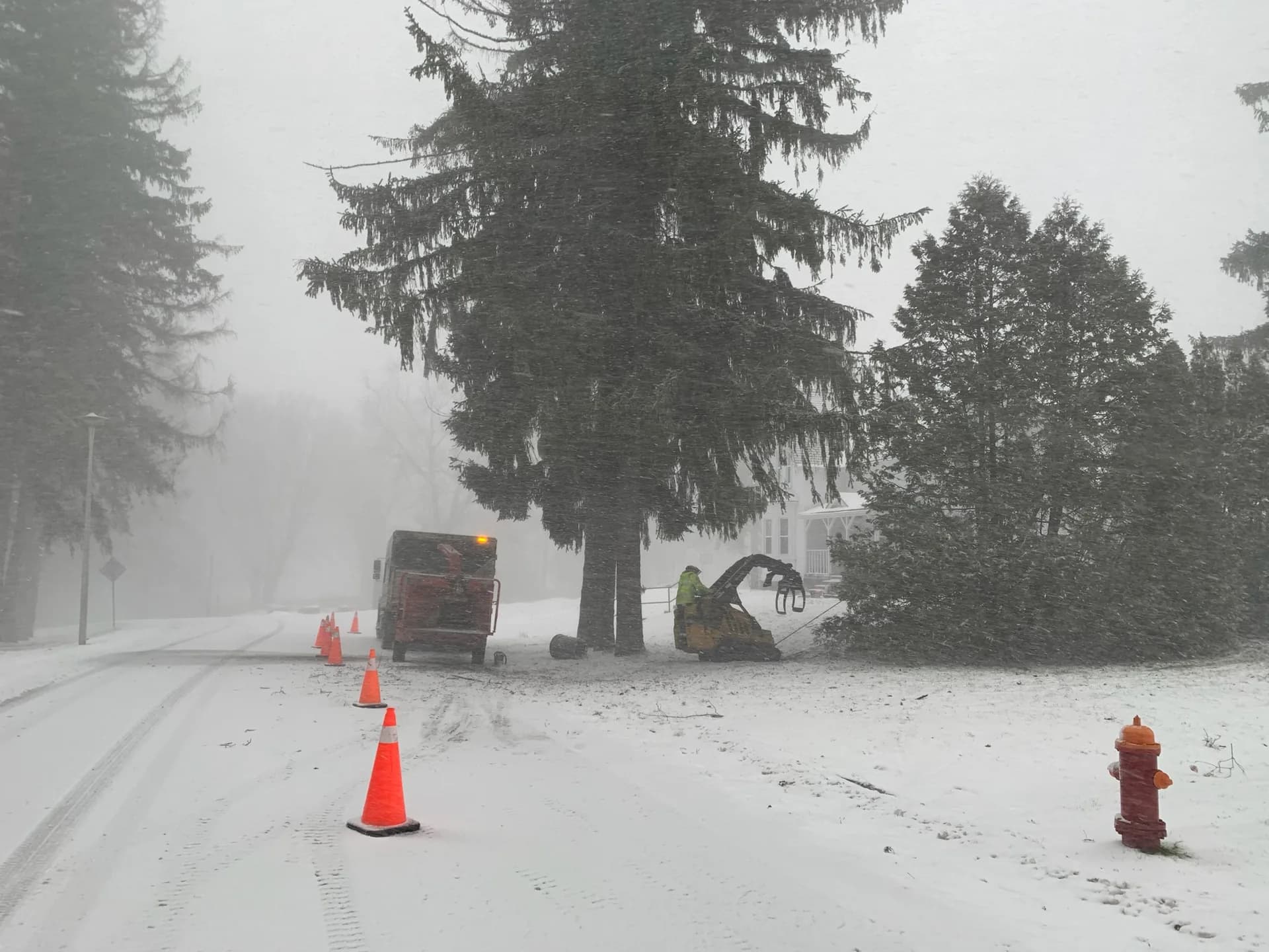 Hazard & Emergency Tree Removal in Simcoe County — Axe & Wedge Tree Works