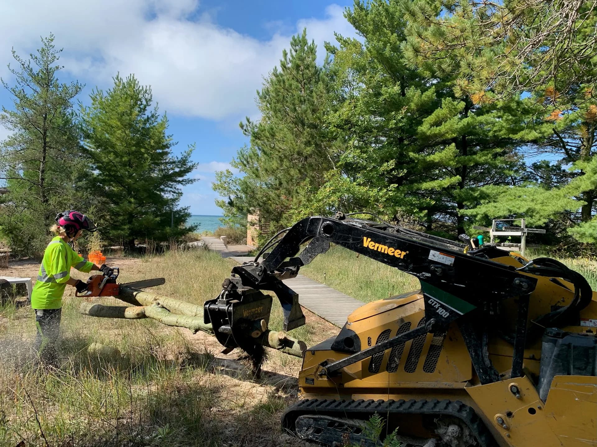 Axe & Wedge Tree Works professional tree service crew in Simcoe County